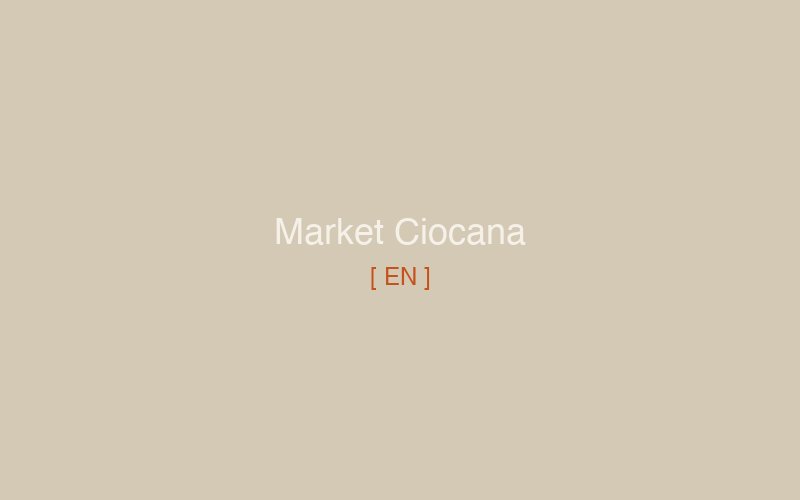 The Ciocana market at eight in the morning — a place that does not know it is beautiful